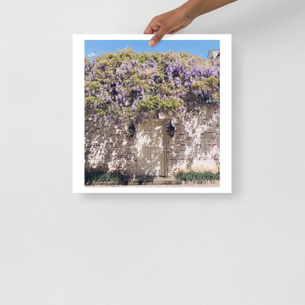 Actual Fan Made Merch: TS Inspired Photography by Me "Wisteria in a Stranger's Garden" -- Art Print -- Forest Witch Original Photography -- Wall Hanging, Art, Victorian themed Art, Floral art