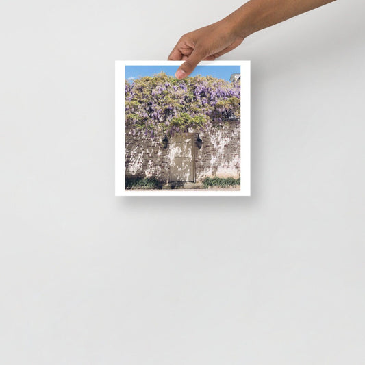 Actual Fan Made Merch: TS Inspired Photography by Me "Wisteria in a Stranger's Garden" -- Art Print -- Forest Witch Original Photography -- Wall Hanging, Art, Victorian themed Art, Floral art