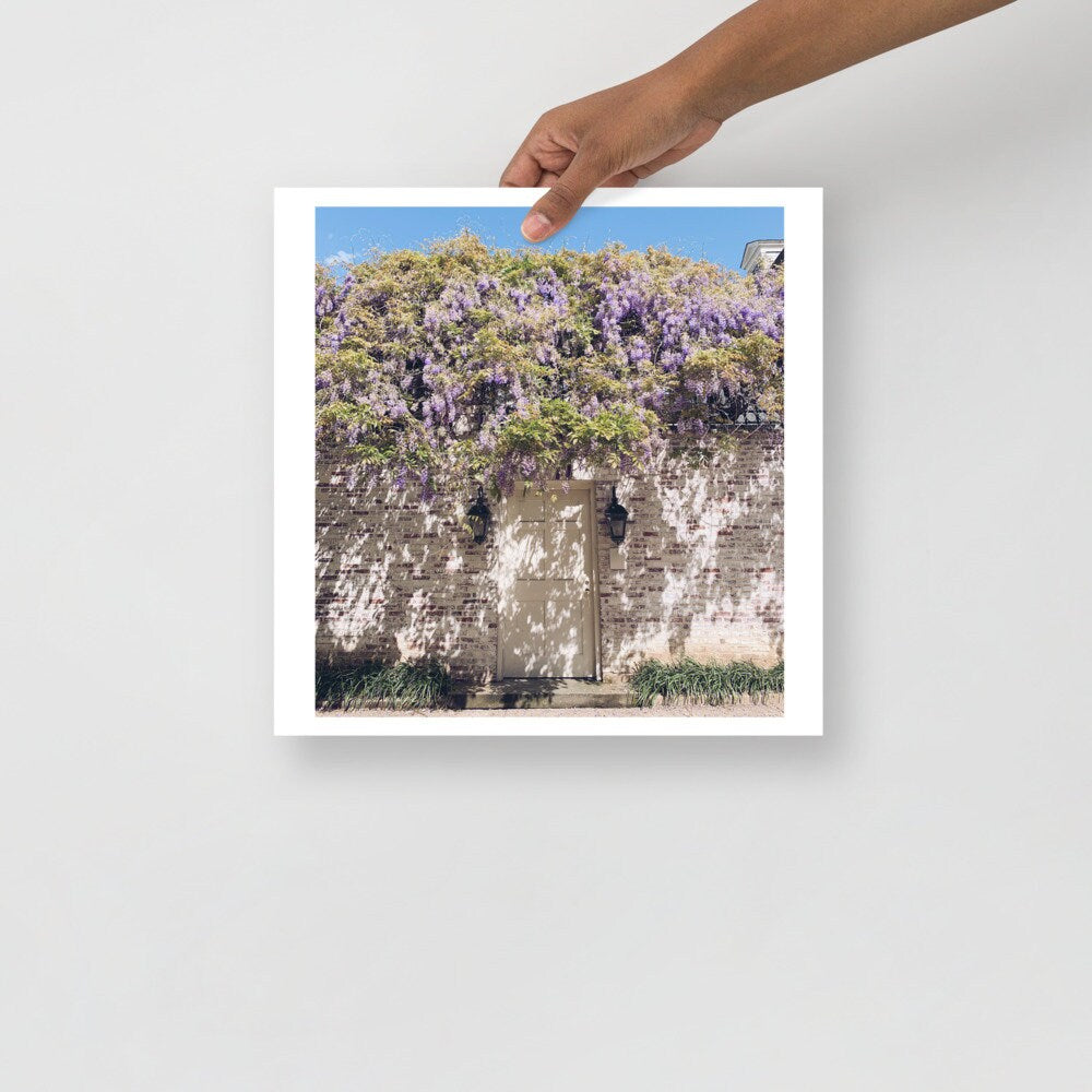 Actual Fan Made Merch: TS Inspired Photography by Me "Wisteria in a Stranger's Garden" -- Art Print -- Forest Witch Original Photography -- Wall Hanging, Art, Victorian themed Art, Floral art