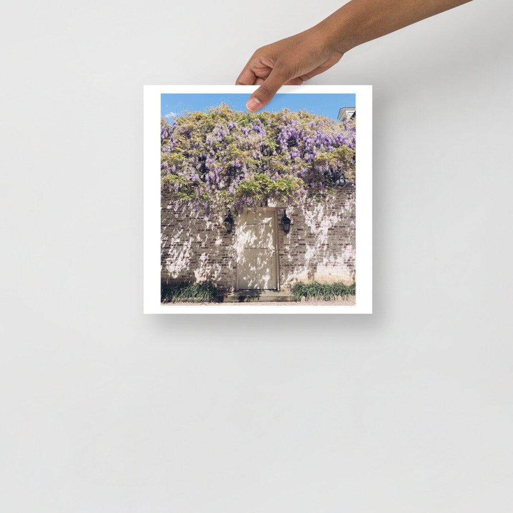 Actual Fan Made Merch: TS Inspired Photography by Me "Wisteria in a Stranger's Garden" -- Art Print -- Forest Witch Original Photography -- Wall Hanging, Art, Victorian themed Art, Floral art