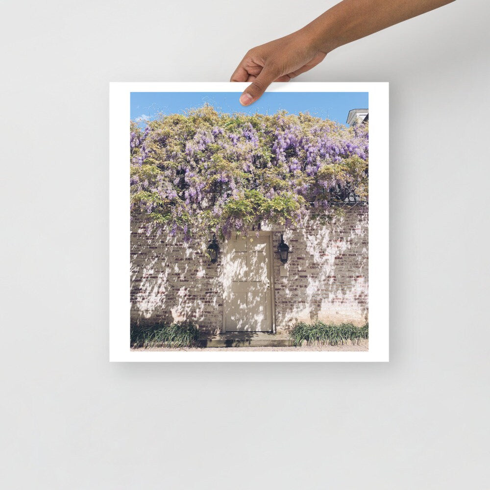 Actual Fan Made Merch: TS Inspired Photography by Me "Wisteria in a Stranger's Garden"  -- Art Print -- Forest Witch Original Photography -- Wall Hanging, Art, Victorian themed Art, Floral art