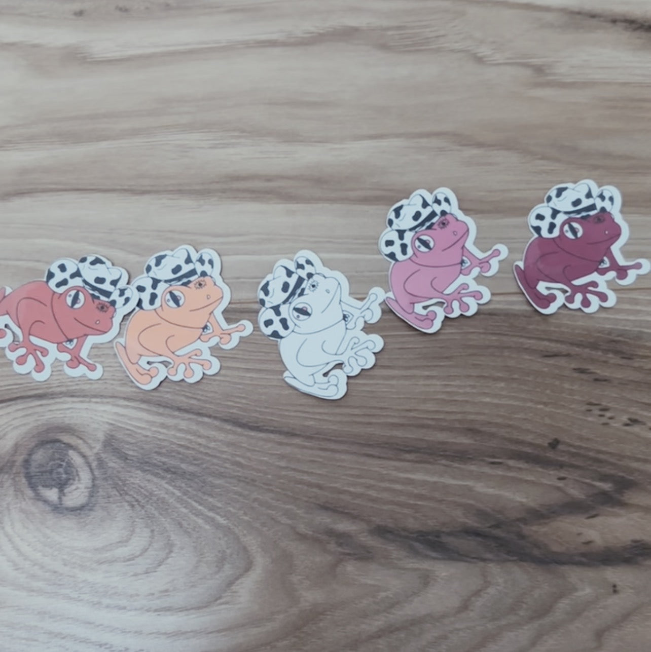 Set of Lesbian Pride Frog Stickers
